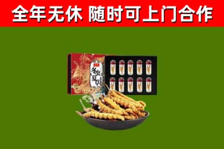 兴安回收冬虫夏草价格